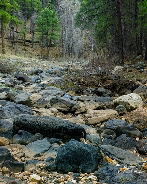 Dry Flow (Arizona-30)