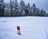 Open Space (Arizona-30)