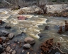 Flash Flow (Arizona-30