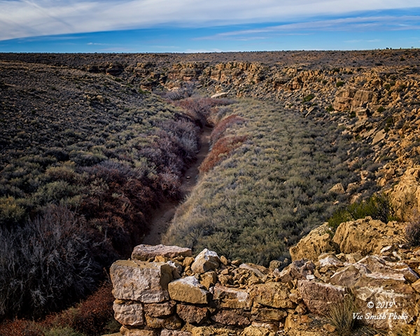 Into The Canyon (Arizona-24)