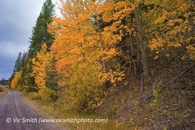 Fall Road (Montana-30)