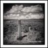 Border Marker(Montana-30)