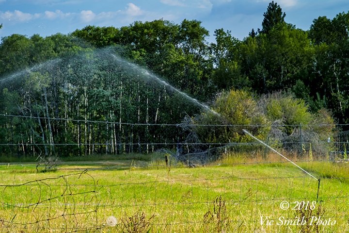 Sprinkler War (Montana-22)