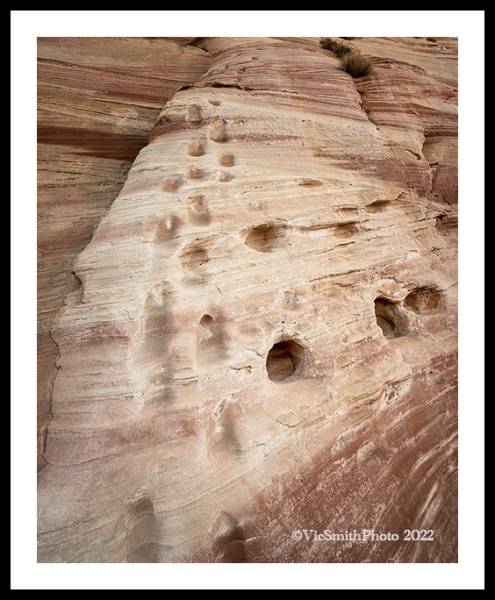 The Stairway (VermilionCliffs-34)