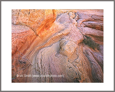 Bright Sand (VermilionCliffs-34)