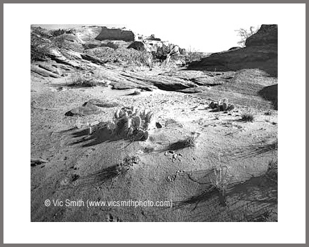 Sand Hill (VermilionCliffs-34)