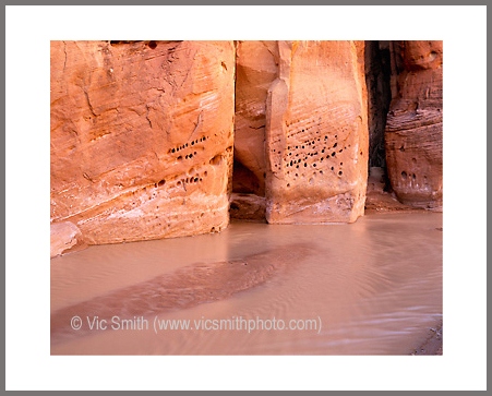 Paria Walls (VermilionCliffs-34)