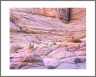 VermilionCliffs (VermilionCliffs-34)