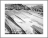 Gathered Sand (VermilionCliffs-34)
