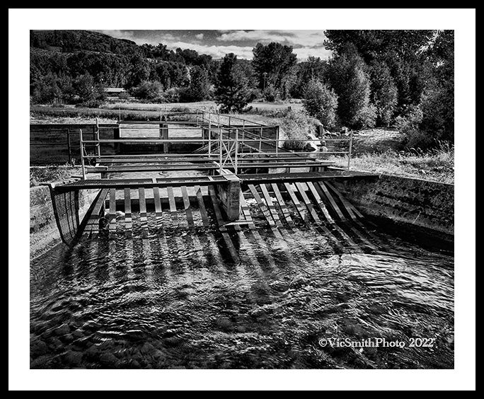 645__M14090210eca2206a_web2Wf