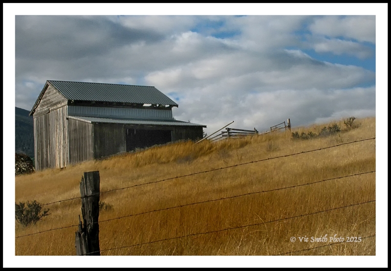 IMG_4285a1112a_webWf