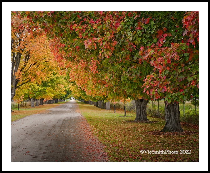 L1005691a2206a_web2Wf