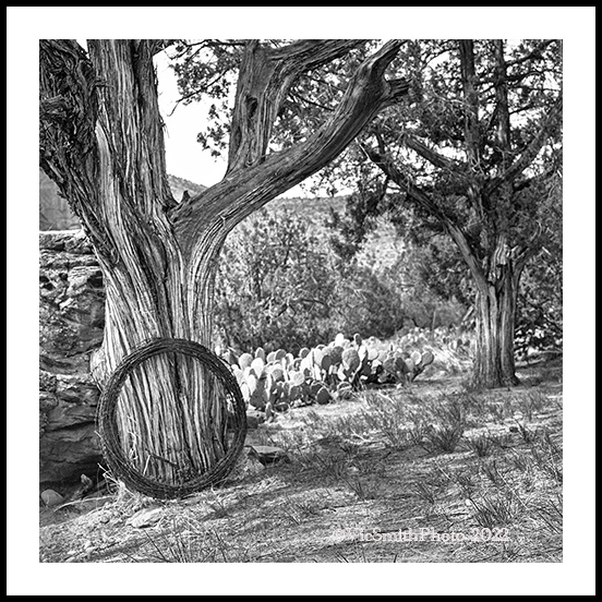 M7040202a2206a_web2Wf