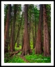 GFX__DSF2085a2207adv_web2Wf