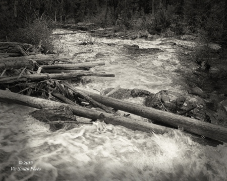 Waterlogs (Bitterroot-16)