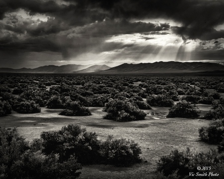 40 Mile Desert (Nevada-16)