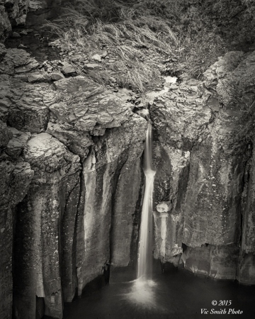 The Thread (Arizona-16)