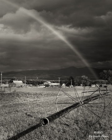 To The Fields (Bitterroot-16)