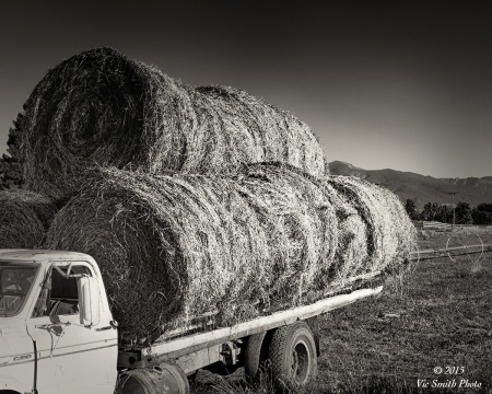 From The Fields (Bitterroot-16)