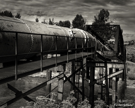 Tube Water (Bitterroot-16)