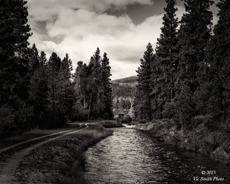 Channel Water (Bitterroot-16)
