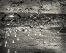Gull Water (MonoLake-16)
