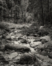 Dry Channel (Arizona-16)